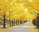 どんな時でも心に寄り添います 相談される方の心の拠り所になり、幸せになってもらいます。 イメージ1