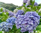 ３日間お話し聞きます のんびり　まったり　ちょっとでも楽しいなお時間を イメージ1