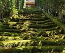 あなたにピッタリの旅行プランを提供します 国内外での一人旅経験を活かし、旅行プラン作成サポートをします イメージ2