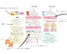 生年月日から導くあなたの本質と使命鑑定します マルシェで人気のかわいい鑑定書付きです♡ イメージ2