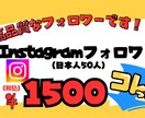 インスタグラム日本人フォロワー増やします 最高品質！インスタグラムの日本人フォロワー増やします！ イメージ1