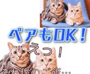 LINEスタンプ制作します あなたの家族を記念に残しませんか？？16セット‼️ イメージ3