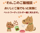 ワンちゃんの体質に合わせたご飯提案します わんちゃんの気持ちに寄り添うごはん相談 イメージ1