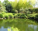 占い約歴50年ベテランが愚痴聞きます お悩み相談から雑談、お気軽に話しましょう イメージ1
