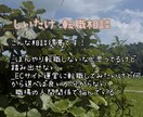 転職9回の経験であなたの不安に寄り添います ３日間回数無制限⭐︎あなたのお悩み相談に乗ります イメージ1
