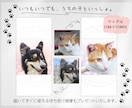 きらめく瞳のペット似顔絵アートをお届けします データ＆スマホ待ち受けサイズ画像もプレゼント／犬猫小動物OK イメージ7
