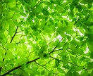 あなたの悩み・心・魂にしっかり寄り添います 90分☆魂を輝かせるセッション☆で 本来の姿に戻りましょう イメージ6