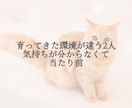 気になる人好きな人の気持ちについてアドバイスします 総接客数300名以上のスナック嬢が実体験も踏まえてアドバイス イメージ3