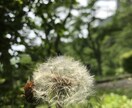 モヤモヤ・悩み何でもいつでもお待ちしております ❀ 悩み、不安、心配、ストレス日常の相談まずはメッセージも◎ イメージ6