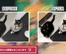 卒団・卒業記念ムービー制作します 思い出も気持ちも、色あせないカタチで残したい方へ イメージ8