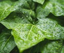 だれにも知られない関係だからこそ聴けます 気持ちを整理したい方へのプランしずくが静かに寄り添います イメージ9