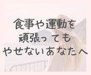 自分が好きになるダイエットをサポートします 自分が好きじゃない..そんなあなたの心とカラダを整えます イメージ3