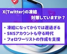 X(Twitter)の凍結対策支援します X(Twitter)のアカウントが凍結した時の対策を！ イメージ1