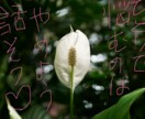 パニック障害 ご家族の気持ち聞きます 家族は辛いですよね。私も同じです。だから、お話しましょう。 イメージ1