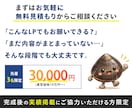 オプトLPを最短５日で納品します 原稿/構成/デザイン/サーバーアップまでまるっと対応 イメージ6