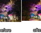 写真加工します 写真を美しく色鮮やかに加工します イメージ4