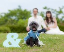 プロカメラマンが出張撮影いたします 【ポートレート】【家族写真】【宣材写真】 イメージ7