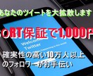 超拡散！Twitterで60RT以上まで宣伝します 〜フォロワー約10万人以上へスピード拡散〜 イメージ2