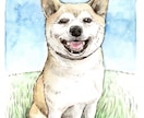 愛犬のイラストオーダー＊似顔絵描きます 原画データ無料お渡し・原画発送料無料 イメージ3