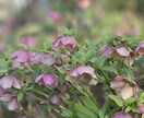 写真の加工レタッチをしてます 写真の現像（加工、レタッチ）の技術を提供しています。 イメージ7