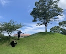 芝生のお悩み聞きます 野芝、コウライ芝、ティフトン、セントオーガスチンなどのご相談 イメージ6