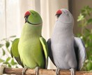 今日の始まりにあなたと一緒に夫婦で深呼吸します 私たちは正解を与えるのではなく、一緒に話し合う仲間です。 イメージ1