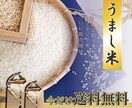 飲食系のバナー作成します おいしいバナー仕せてください！！ イメージ6