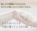 ペットロス専門☆愛するペットのお話、すべて聴きます ペットロス経験者・現役カウンセラーの私が、すべて受け入れます イメージ3