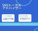 SNSのトータルアドバイザリーをします スタートアップにおけるSNS運用のアドバイスをしています イメージ1