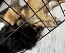 ゲイですがよかったら。今すぐ話したい方お話聞きます 相談、愚痴をなんとなくで大丈夫です。 イメージ2
