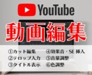 あなたのYouTube動画高クオリティで編集します 撮影はしたけど編集者が足りなくて困っているという方へ イメージ1