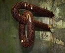 終わる？続く？あの人との関係に答えを出します 曖昧な関係の苦しみに終止符を。この恋は今後どう動く？ イメージ5