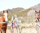最高画質×女性同行。元チワワ飼い主が可愛く写します 女性同行可で安心。6100万画素の描写で一生モノの写真を。 イメージ8