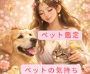 1000件超の絆【ペット】あの子と魂の対話をします 今を生きる子も、旅立った子も。本当の想いを伝えます。 イメージ1