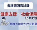 看護師国試『健康支援・社会保障』30問で対策します 看護師国家試験の制度・統計だけを30問で総復習 イメージ1