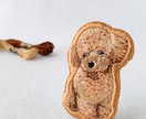 手刺繍オーダーメイド動物ブローチお作りします お写真を思い出メモリアルとして持ち歩けます イメージ2
