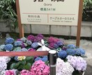 鬱　双極性障害等、経験者の私がお話、相談伺います 1人で抱えていませんか？心の声を吐き出してみませんか？ イメージ10