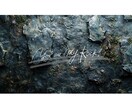 写真への文字入れします ポップな雰囲気で写真へお好みの文字を書きます！ イメージ2