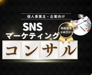 インスタ＆TikTok特化のSNSコンサルをします インスタ＆TikTokコンサルに特化。ショート動画攻略を支援 イメージ1