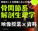 骨関節系解剖生理学をわかりやすく解説します 理学療法士兼講師の私が骨関節系解剖生理学をわかりやすく解説！ イメージ1