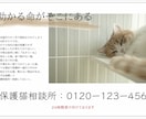 チラシ、バナー作成します 可愛らしい/ナチュラル/シンプル チラシ、バナー作成します イメージ7