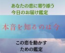 鑑定します。大好きなあの人の本音をお届けします あの人の今の気持ちと未来への想いを明らかにします。 イメージ2
