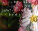 恋愛・悩み・子育て・健康・愚痴…何でもお話聞きます 20年以上看護師、他にもOLや指導者、妻、母もやってます。 イメージ1