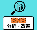 SNSの伸びない原因を分析、改善策を提案します あなたのSNS、専門家の視点で分析します。 イメージ1