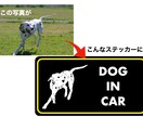 車用ステッカーのデザインを作ります お気に入りのペットの写真そのままなステッカーを作りませんか？ イメージ1
