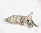 猫ちゃんのエネルギーを読み取り似顔絵を描きます ペットの猫ちゃんの愛の波動を写真から読み取りイラストにします イメージ1