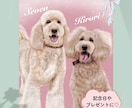 手描きデジタルで世界に一つの犬猫似顔絵を制作します 思い出の写真をデジタルタッチで可愛いわんにゃん似顔絵に♡ イメージ2