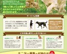 はじめてでも安心｜内容整理から作るチラシ制作します 掲載内容から一緒に考える、失敗しないチラシ制作 イメージ6
