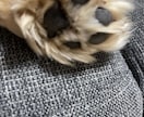 あなたの味方になります もう！いい加減にしてよ！！叫んで下さい！ イメージ1