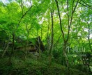 必要な写真素材を撮影します ホームページや資料用の素材を、代わりに撮影し納品します。 イメージ8